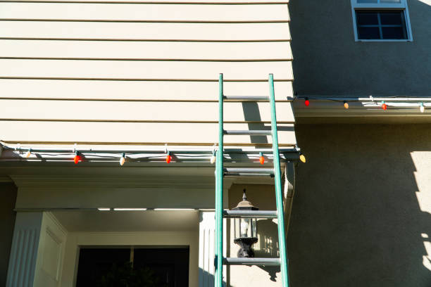 Best Fascia and Soffit Installation  in Douglas, GA