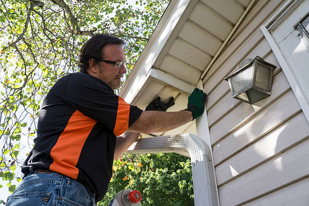 Best Stone Veneer Siding  in Douglas, GA